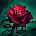 Fedai Talon#FEED
